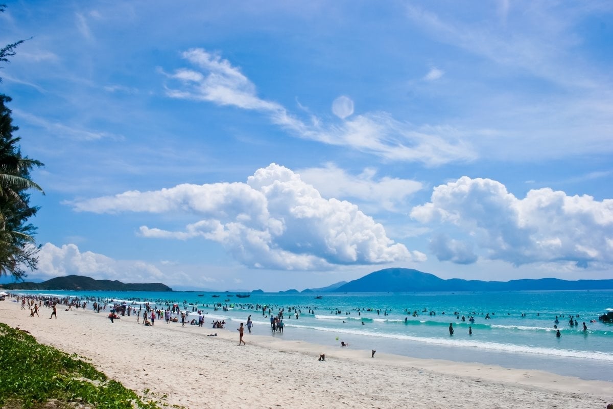 Trà Cổ