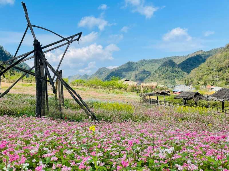 Điểm du lịch Mộc Châu