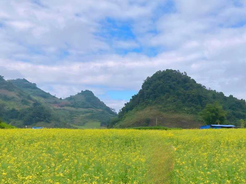 Điểm du lịch Mộc Châu