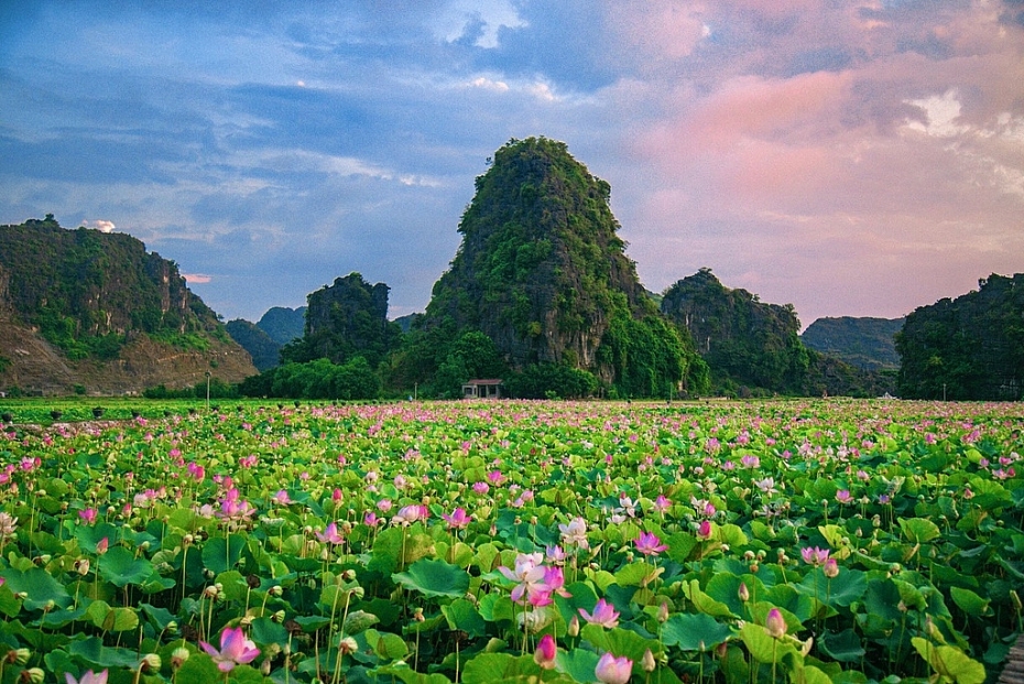 Kinh Nghiệm Khám Phá Du Lịch Ninh Bình: Ăn Gì, Ở Đâu, Chơi Gì?