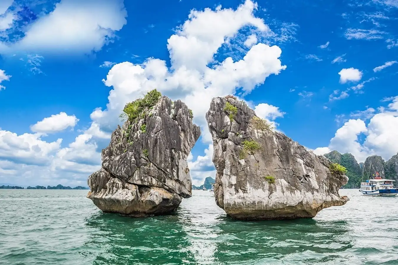 Hạ Long