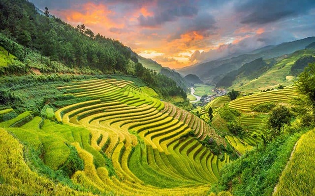 Lai Châu